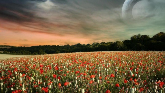 得了腰间盘突出 就该告别运动吗？